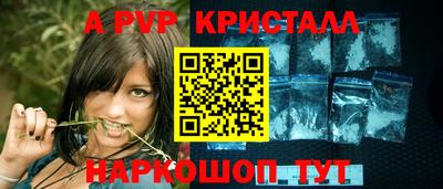 эйфоретик Гудермес