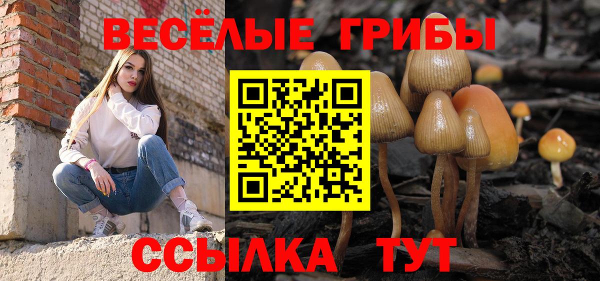 Псилоцибиновые грибы прущие грибы  наркота  Вязники  Вход с VPN 